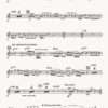 Hava Nagila - Image 8